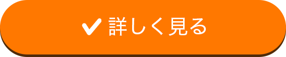 続きを見る